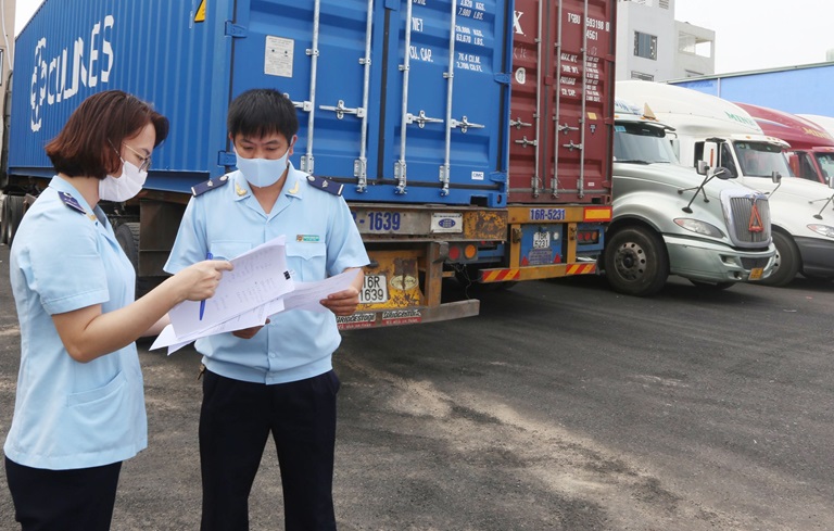 Nhật Thực là cầu nối, giúp Moso và các DNCX khác vượt qua rào cản về thủ tục hải quan