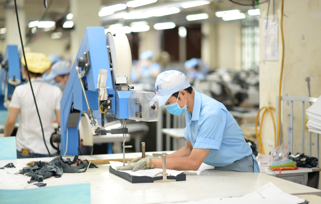 Nhật Thực chuyên dịch vụ tư vấn thủ tục hải quan EPE trọn gói