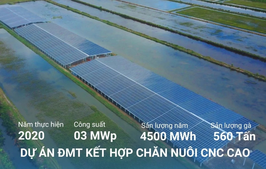 Hệ thống điện mặt trời đảm bảo nguồn năng lượng cần cho nông nghiệp