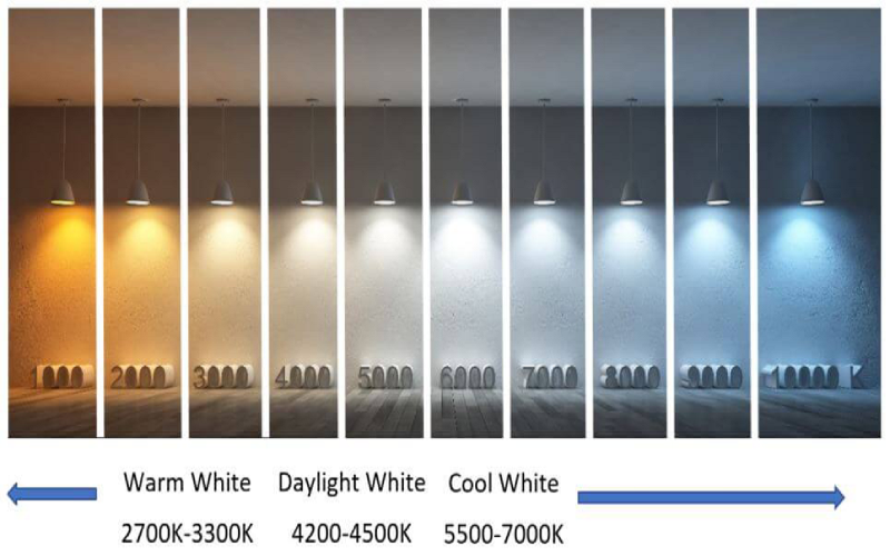 Đèn LED thông minh Spotlight DS20Z12B