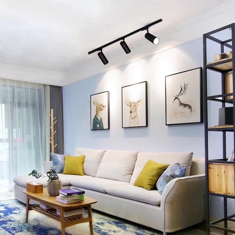 Đèn rọi từ tính thông minh DG10SB