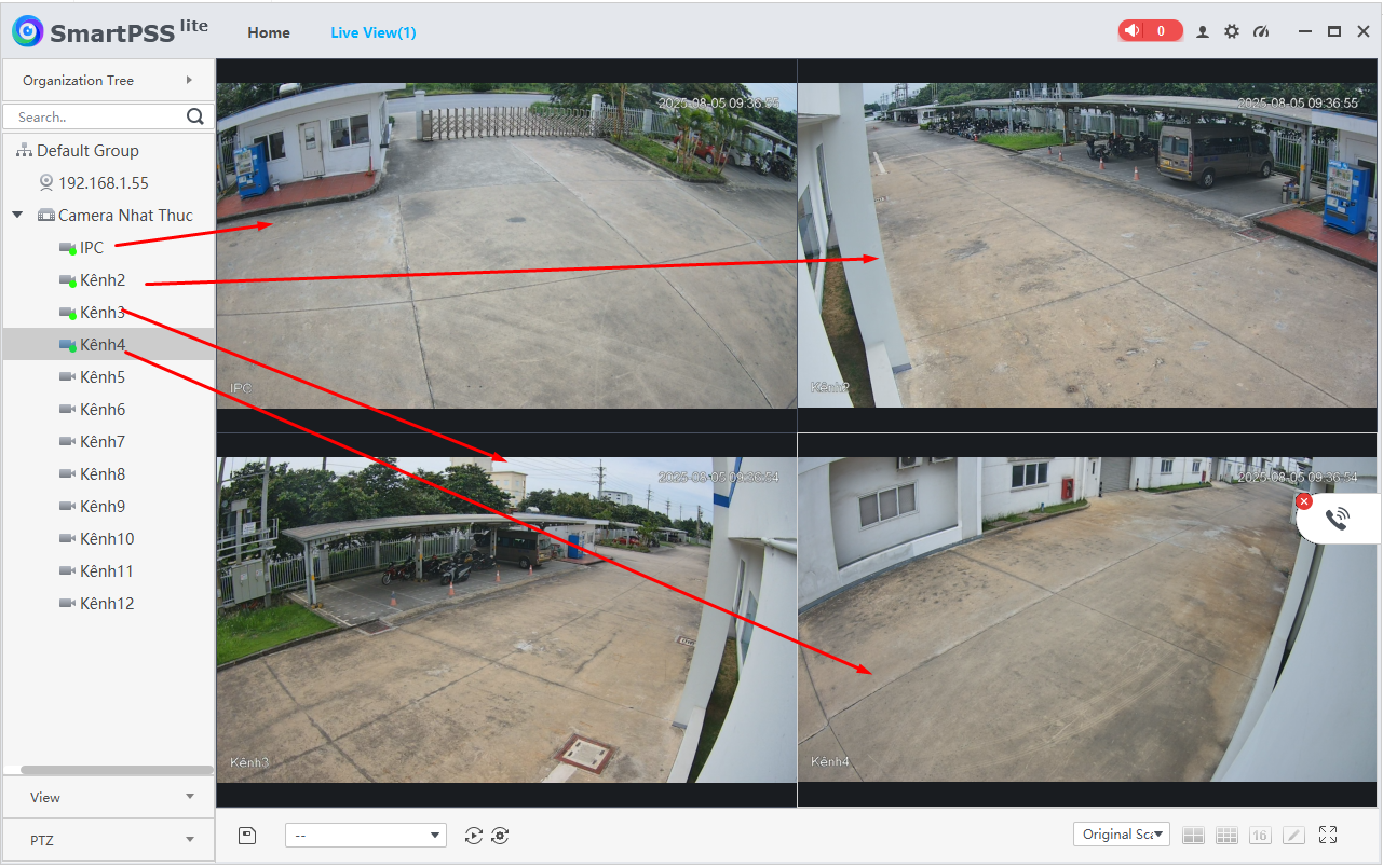 Thao tác kéo thả camera để xem Live View trong SmartPSS Lite