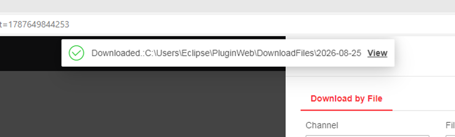 Hướng dẫn xem camera Hikvision bằng tên miền trên Microsoft Edge