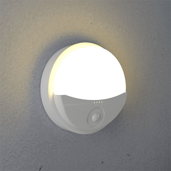 Camera Wifi bóng đen cảm biến BĐ06-GT16