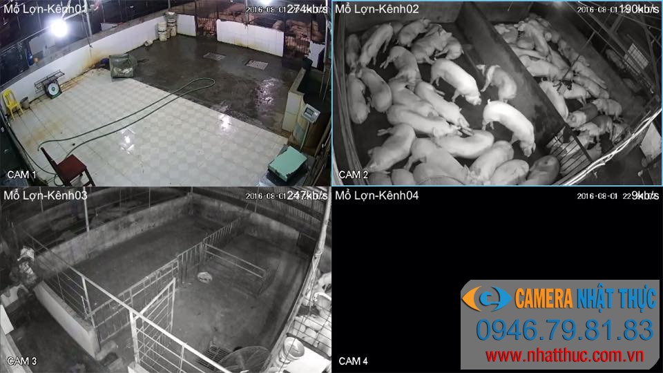Tại sao chúng ta nên lắp đặt camera quan sát?