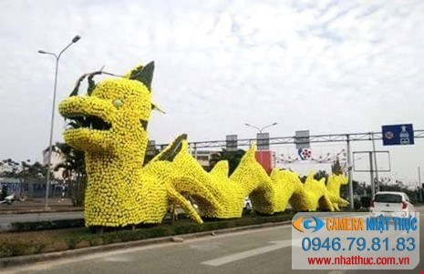 Lắp trọn bộ camera quan sát tại đường Lê Hồng Phong Hải Phòng