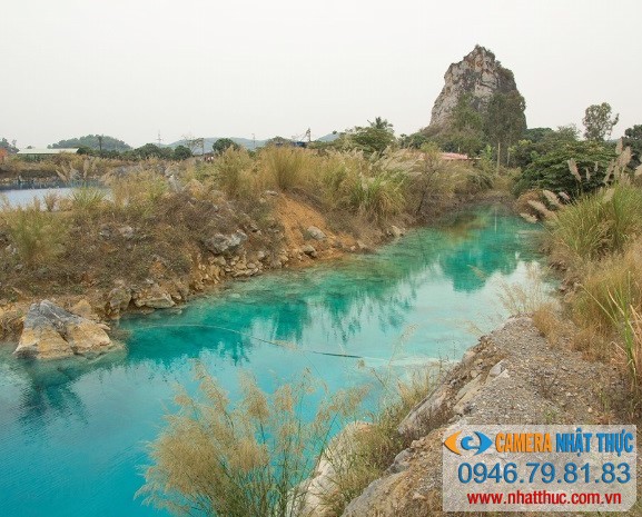tuyệt tình cốc
