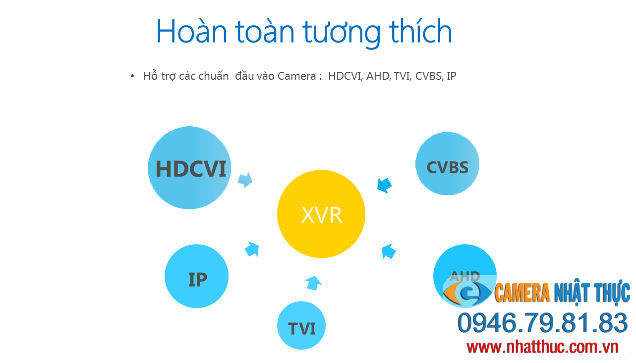 25439001 883044761820827 5876976916437804118 o