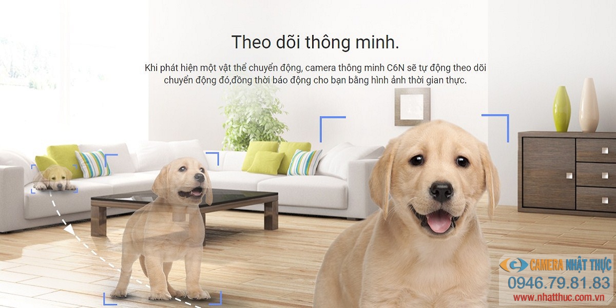 Khả năng phát hiện chuyển động thông minh