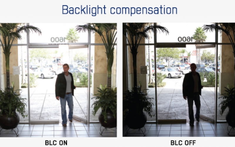 Chế bộ BLC