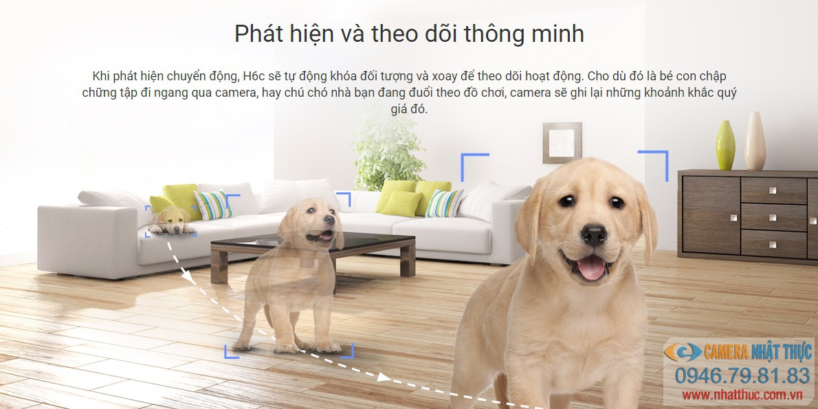 Phát hiện chuyển động và theo dõi thông minh
