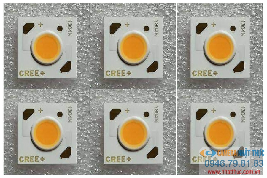 LED Cree USA