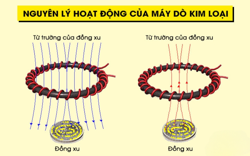 Nguyên lý
