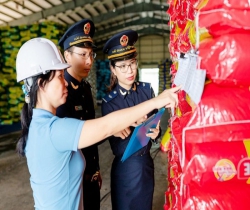 Hướng dẫn chi tiết thủ tục nhập khẩu cho Doanh nghiệp chế xuất (DNCX)!