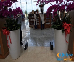 Lắp đặt cổng từ an ninh Nha Trang uy tín, trọn gói, giá rẻ!