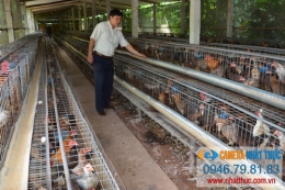 Camera giám sát cho các trang trại chăn nuôi gia cầm, gia súc tại Hải Phòng