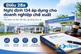 Điều 28a Nghị định 134 áp dụng cho DNCX: Giải thích chi tiết