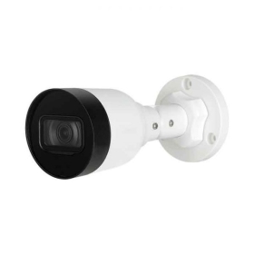 Camera IP Dahua DS2230SFIP-S2