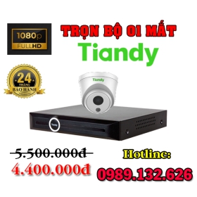 TRỌN BỘ 01 CAMERA TIANDY IP THÔNG MINH 2.0MP 