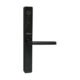 Khóa điện tử cho cửa nhôm PHGLOCK FP5338A (Đen-App)