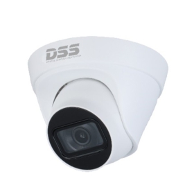 Camera IP Dahua DS2431TDIP-S2