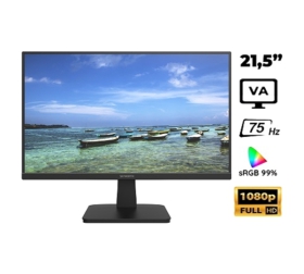 Màn hình máy tính 21.5 inch SKYWORTH M223FJ