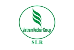 công ty TNHH Liên Hợp Hóa Học Việt Nam