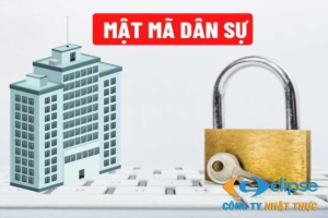 Những điều kiện kinh doanh sản phẩm, dịch vụ mật mã dân sự: hướng dẫn chi ...