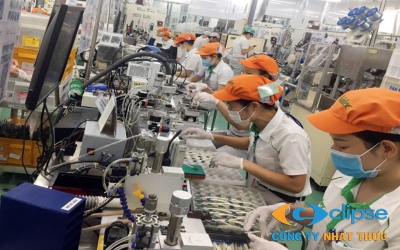 Điều kiện sản xuất DNCX: Hồ sơ năng lực và quy trình kiểm tra