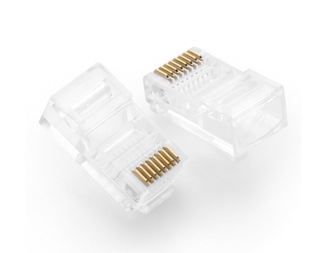 Hạt mạng xuyên thấu Cat5 