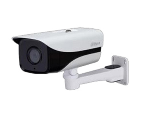 Camera IP Dahua DH-IPC-HFW1230MP-AS-I2 