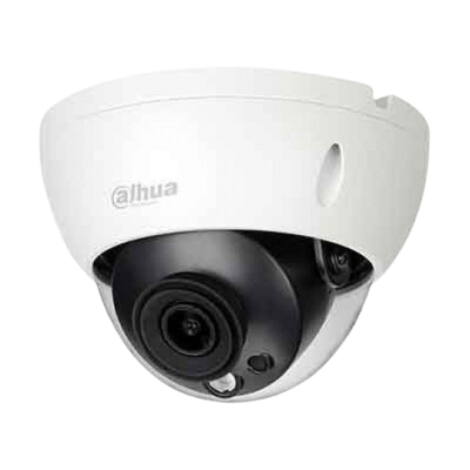 Dahua DS2431RDIP-S2