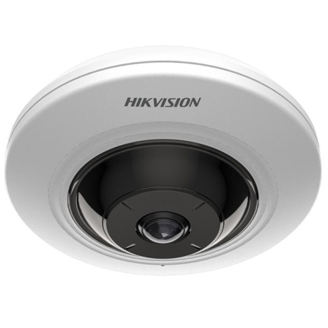 Camera IP Hikvision DS-2CD2955G0-ISUHUN