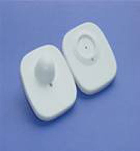 Tem từ cứng cho quần áo CW002