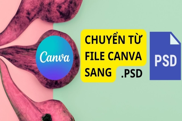 Chuyển File Canva Sang Photoshop: Bí Quyết Nâng Cao Chỉnh Sửa Thiết Kế Của Bạn